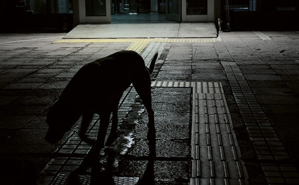 Oliver Krebs