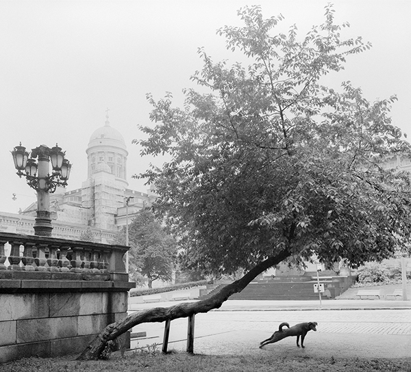 Pentti Sammallahti