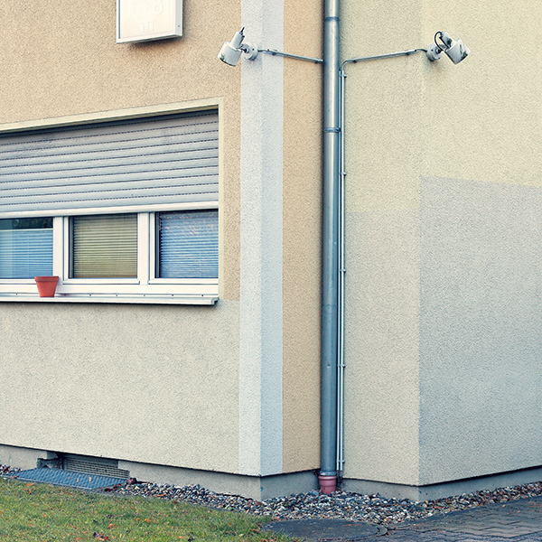 Peter Braunholz