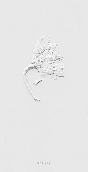 Sarah Schorr