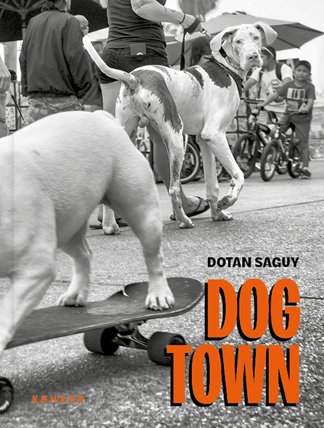 Dotan Saguy