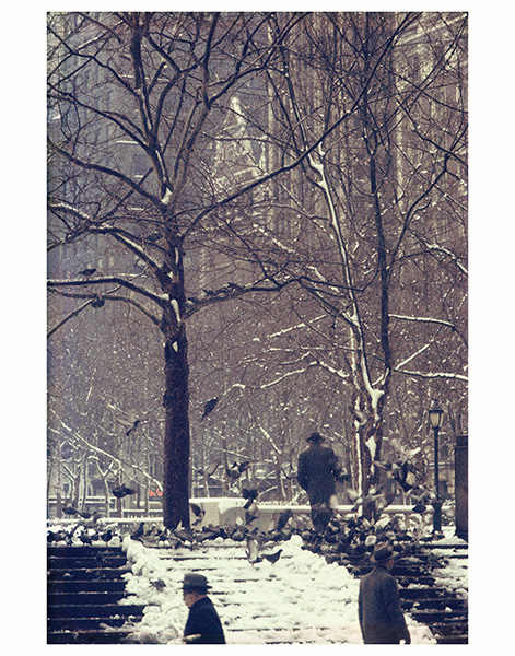 Unseen Saul Leiter