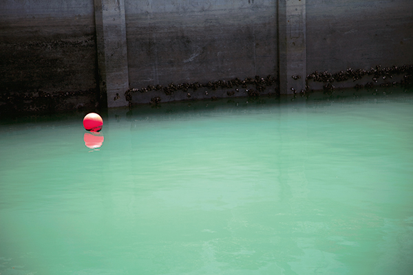 Jessica Backhaus