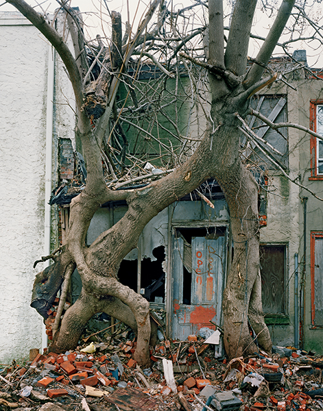 Daniel Traub