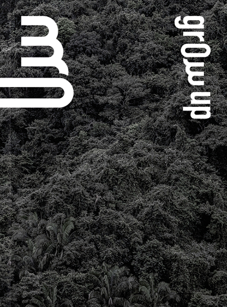 Manuel Rivera-Ortiz Foundation