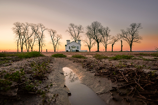 Bob Newman