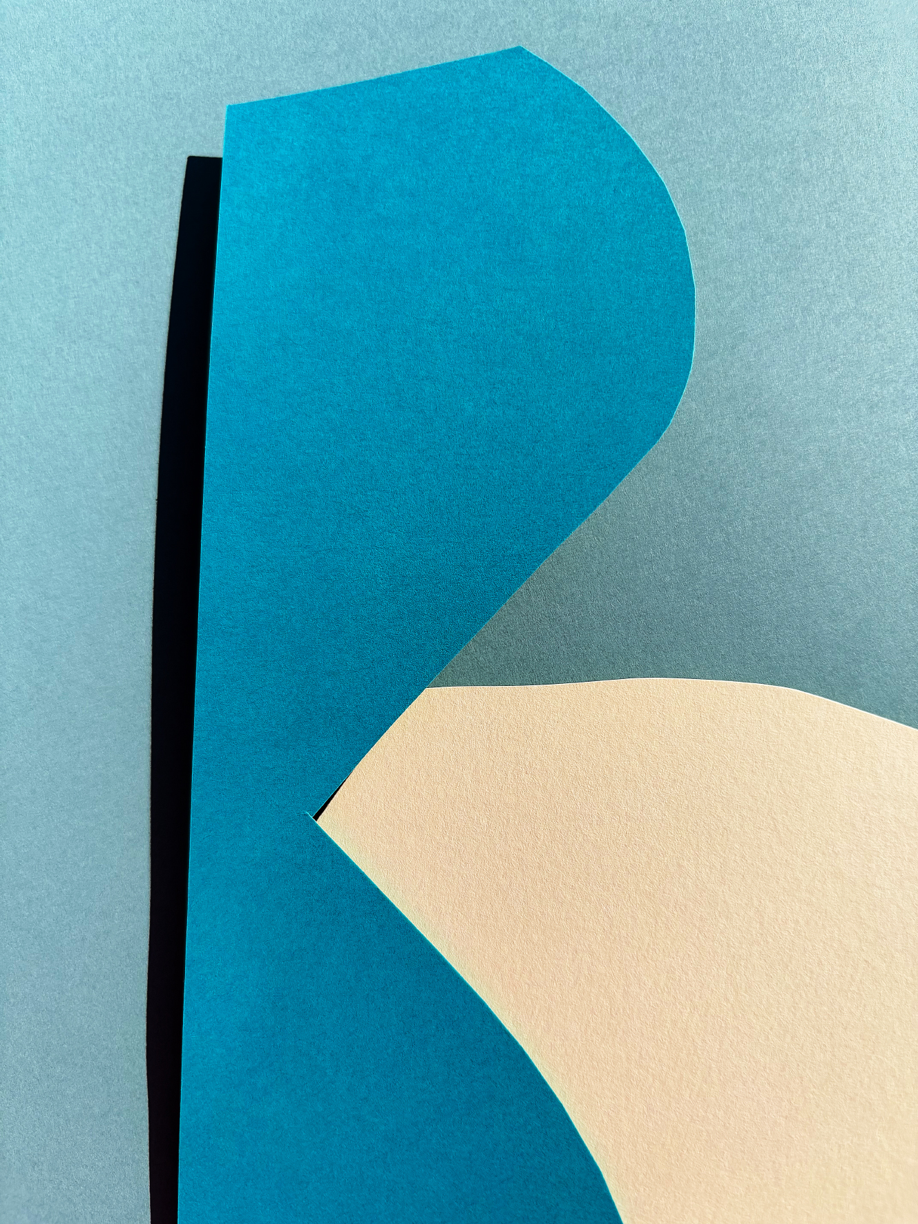 Jessica Backhaus