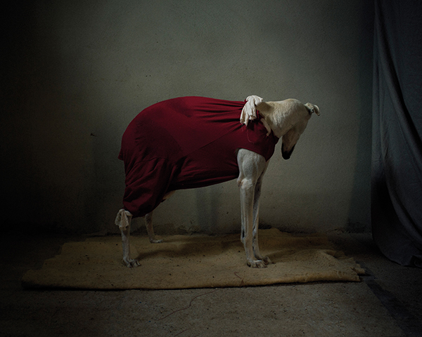 Martin Usborne