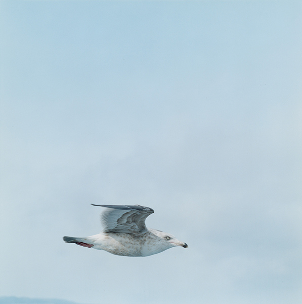 Rinko Kawauchi
