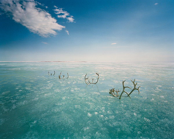 Scarlett Hooft Graafland