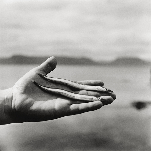 Christopher Taylor