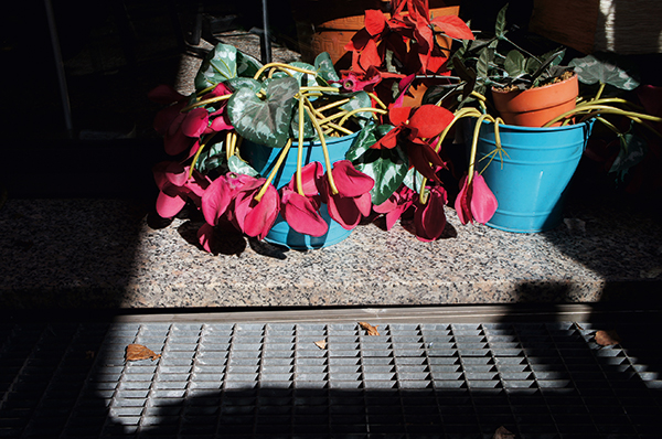 Jessica Backhaus