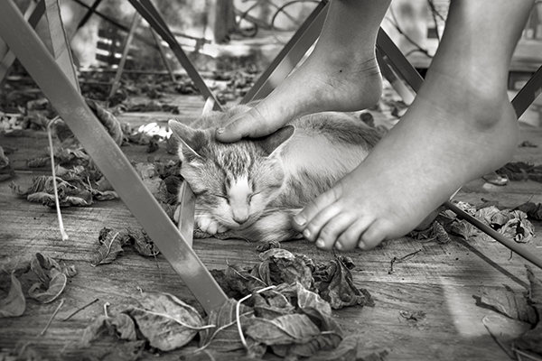 Alain Laboile