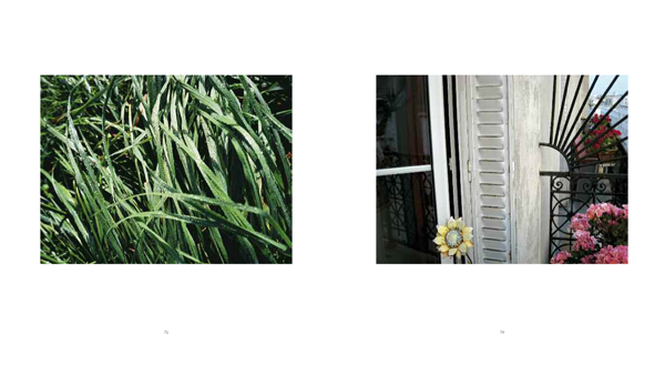 Jessica Backhaus