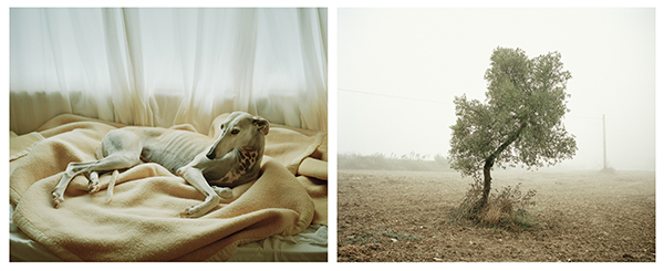 Martin Usborne