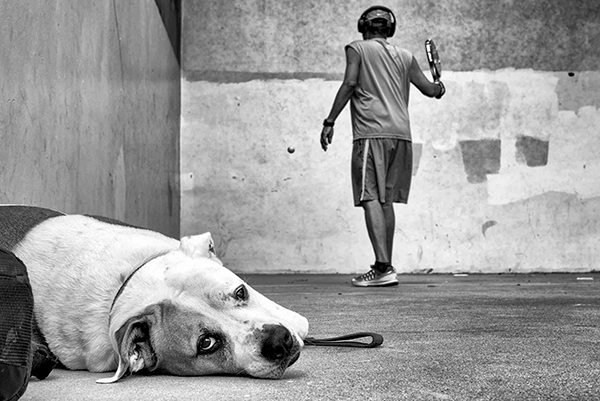 Dotan Saguy