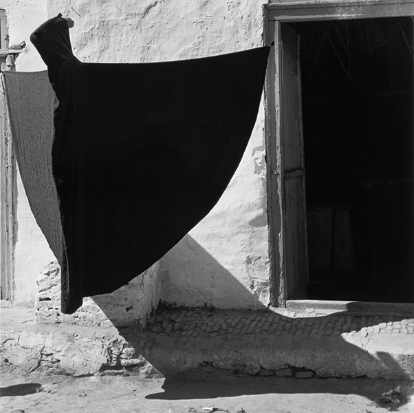 Peter Fink