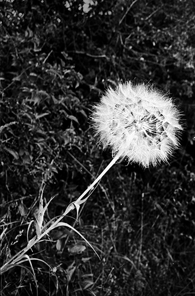 Anders Petersen