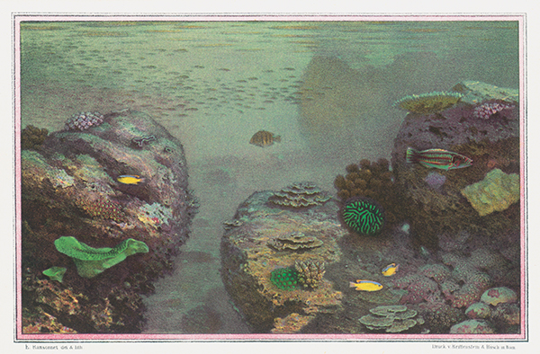 Ursula Harter
