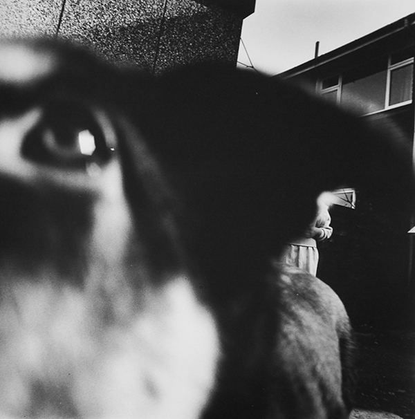 Chris Shaw