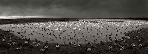 Pentti Sammallahti