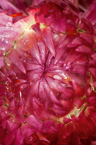 XL Photography 7 Art Collection Deutsche Börse 