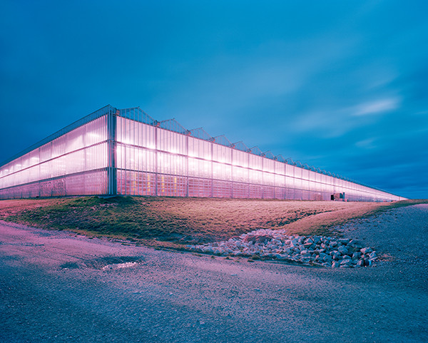 Gregor Sailer COLLECTOR'S EDITION: Cockaigne 