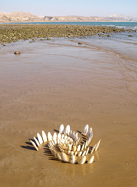 Roger Rigorth Utopie der Natur 