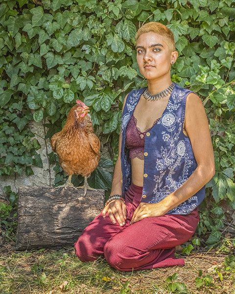 Janet Holmes Nest Rescued Chickens at Home