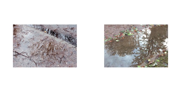 Beate Müller Lichtbilder 