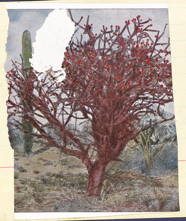 Museum Folkwang / Wüstenrot Stiftung A Medium in Transition 