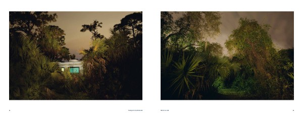 Frank Hallam Day Nocturnal 