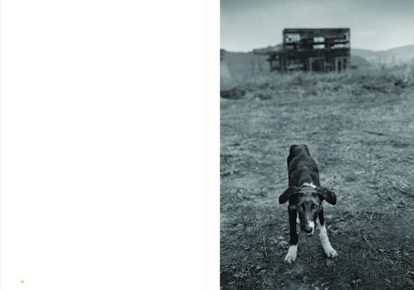 Michel Vanden Eeckhoudt Bittersweet 