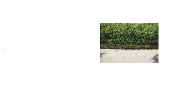 Beate Müller Lichtbilder 