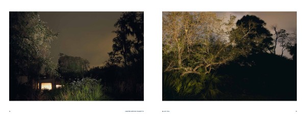 Frank Hallam Day Nocturnal 