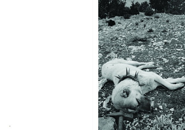 Michel Vanden Eeckhoudt Bittersweet 