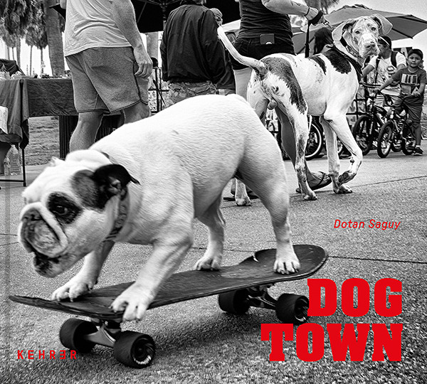 Dotan Saguy Dog Town The Canines of Venice Beach