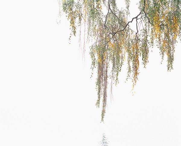 Frank Darius Das Paradies ist hier 