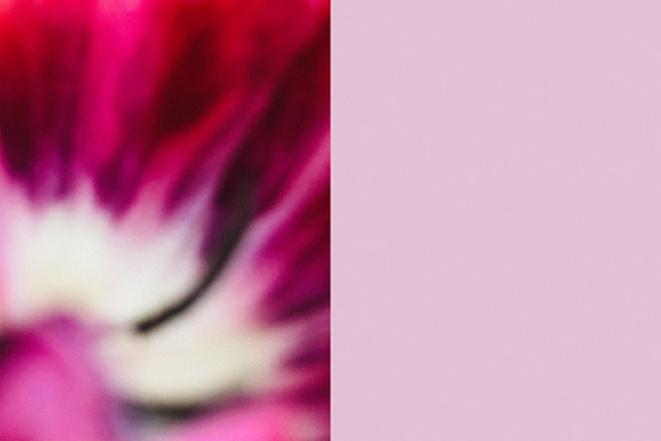 Cristina Dias de Magalhães Equivalents. States of Existence 