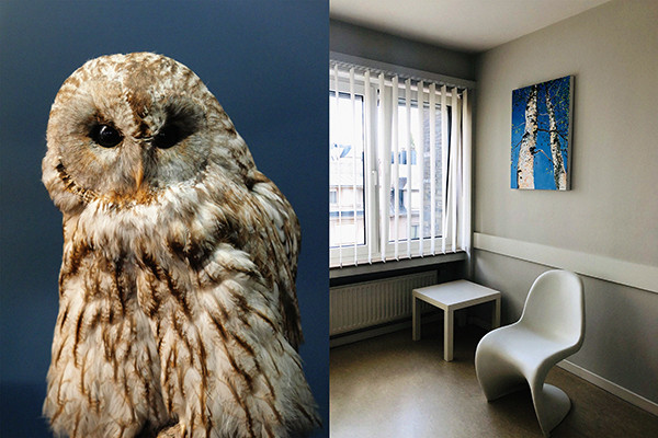 Cristina Dias de Magalhães Equivalents. States of Existence 