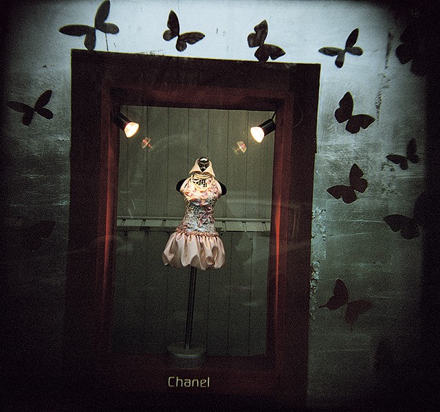 Andrea Hoyer Recollections 