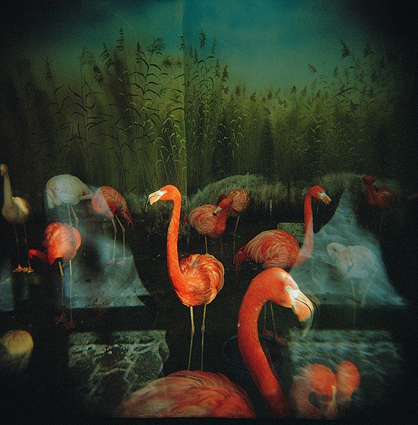 Andrea Hoyer Recollections 