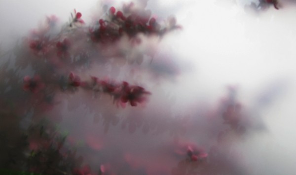 Ulrike Crespo Ephemere 