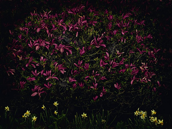 Giovanni Castell Boxen & Blumen 