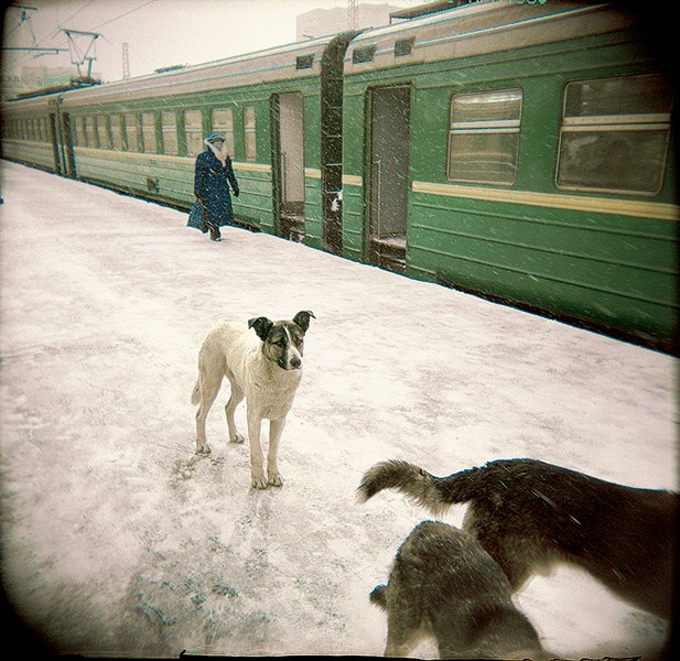 Andrea Hoyer Recollections 