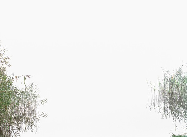 Frank Darius Das Paradies ist hier 