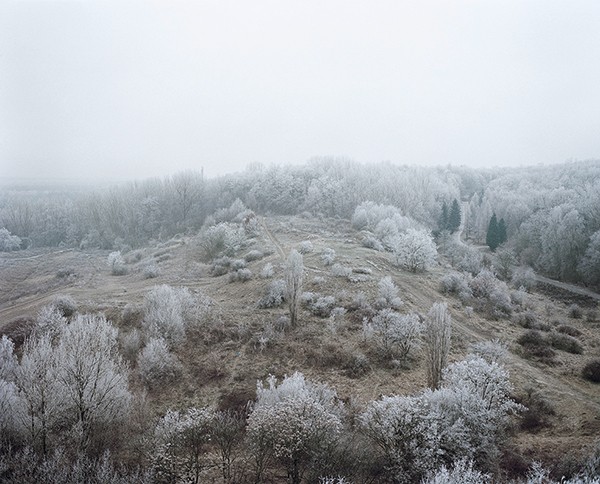 Frank Darius Das Paradies ist hier 