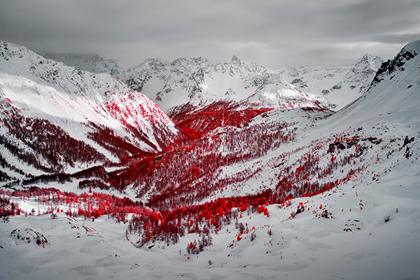 Zak van Biljon Modernising Nature 