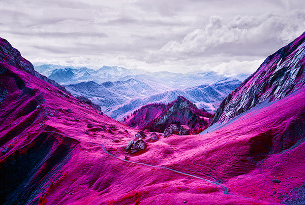 Zak van Biljon Modernising Nature 