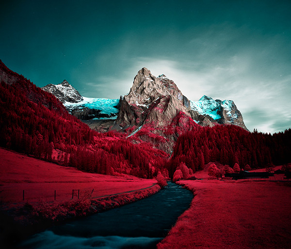 Zak van Biljon Modernising Nature 